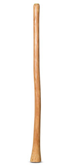 Natural Finish Flared  Didgeridoo (TW679)